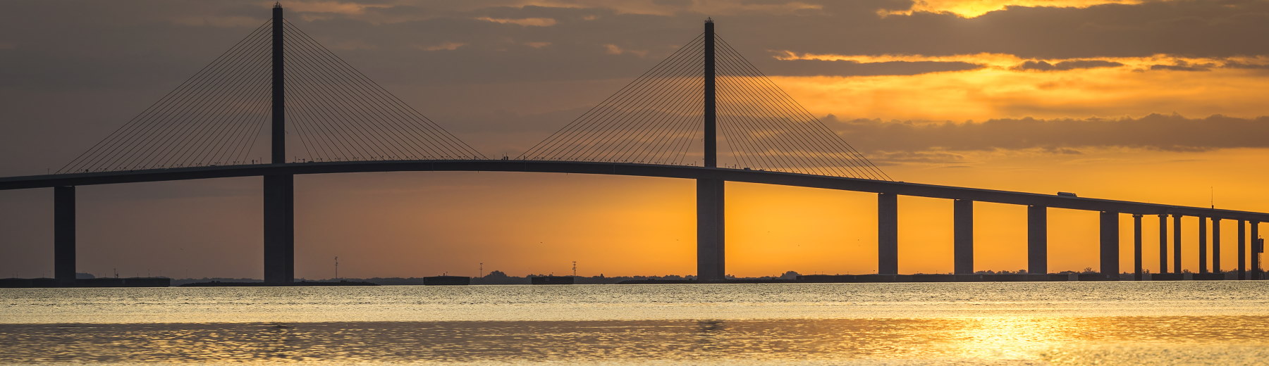 Florida bridge with pelican